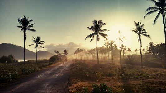 3 Ways to Say You're Welcome in Indonesian