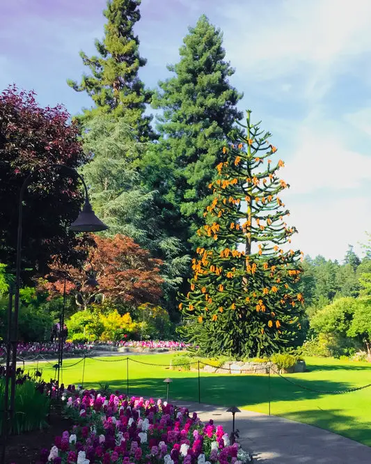 6 Fun Facts About the Butchart Gardens in Vancouver Island, BC
